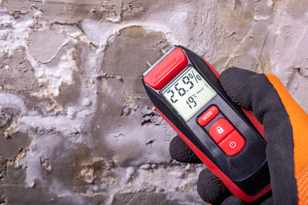 Best Mold Testing  in Benson, AZ